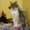 Отзыв от Ева Сидорова